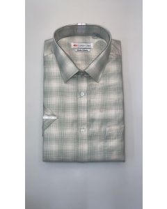 COTTON DAYS 55961 A 42 H/S 
