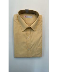 SHIRTS COTTON DAYS 99109 H H/S 42