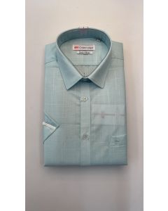 COTTON DAYS 99164   H/S 